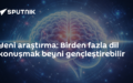 çok dillilik
