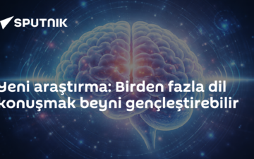 çok dillilik