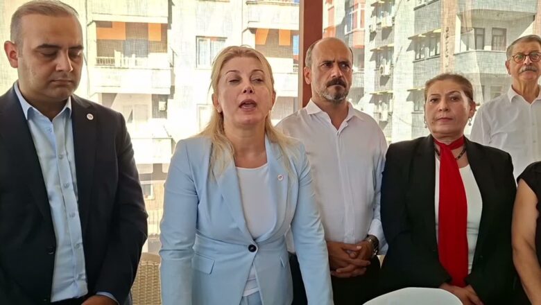 Örgütlenme