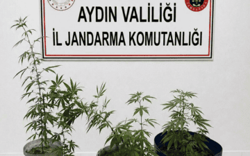 Uyuşturucu Operasyonu