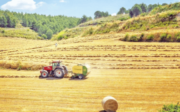 Tarım Devrimi