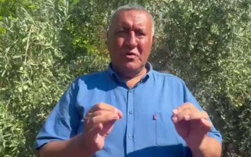 tarım sektörü dış ticaret