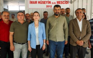 Alevi