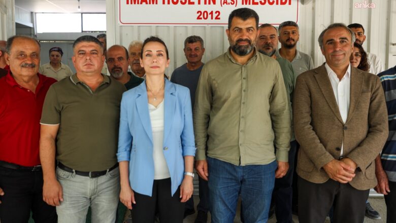 Alevi