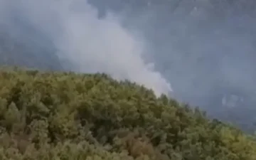 orman yangını