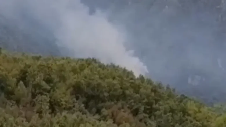 orman yangını