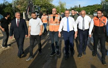 Doğanyol
