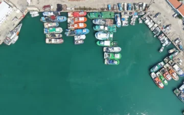 balık sezonu