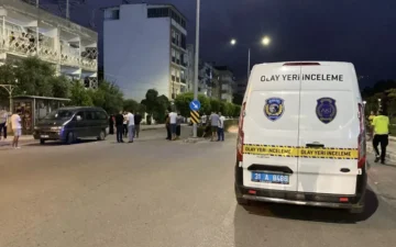 panelvan çarpması