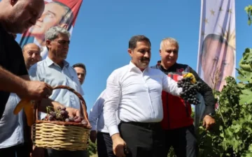 Hatay üzüm hasadı
